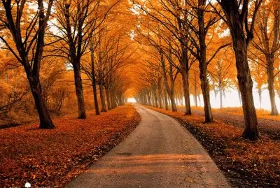 Natureza