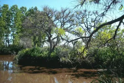 La Balandra. Buenos Aires. Argentina
