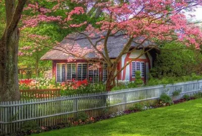 Natureza jigsaw puzzle