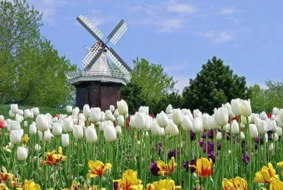 פאזל של Natureza