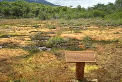 Turbal en el PN Tierra del Fuego. Argentina jigsaw puzzle