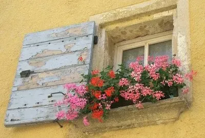 Natureza jigsaw puzzle