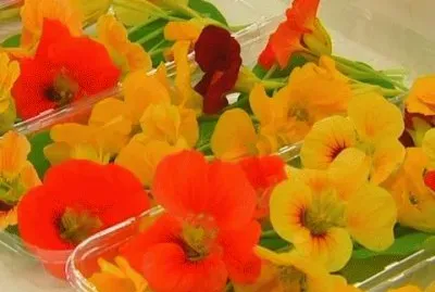 Caputxines jigsaw puzzle