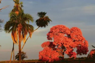 Por do Sol