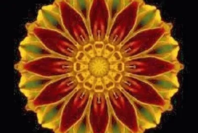 פאזל של mandalas