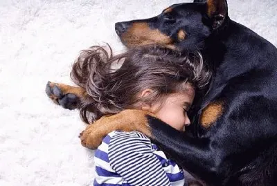 ×›×œ×‘ ×•×™×œ×“×”