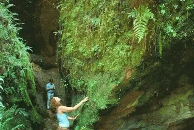 Angosto de Jaire. Jujuy. Argentina