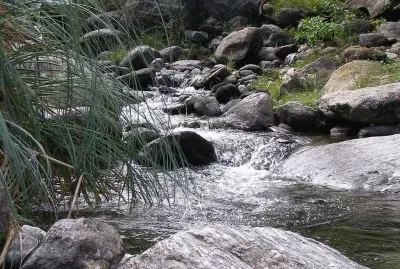 En San Javier. CÃ³rdoba. Argentina