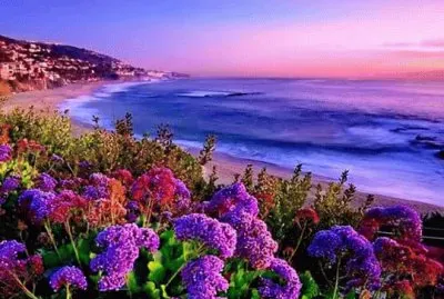 paisagem jigsaw puzzle