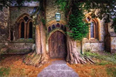 Natureza jigsaw puzzle