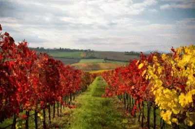 Natureza jigsaw puzzle
