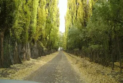 En la Provincia de Mendoza. Argentina