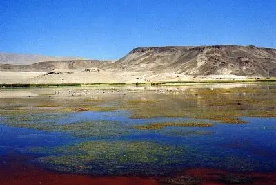 Antofagasta de la Sierra. Catamarca. Argentina