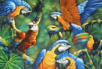 arara jigsaw puzzle