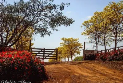 Natureza jigsaw puzzle