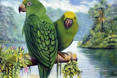 papagaio jigsaw puzzle