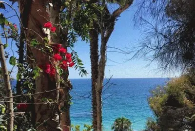 Vista del mar