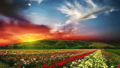 547 jigsaw puzzle