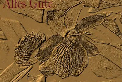 פאזל של Flower