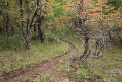 Sendero a Laguna Los CÃ©sares. RÃ­o Negro. Argentina