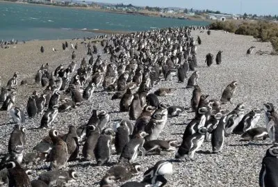 Cerca de puerto San JuliÃ¡n. Patagonia Argentina