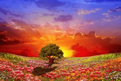 Natureza
