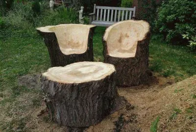 ×¨×”×™×˜×™ ×¢×¥