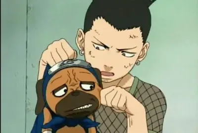 Pakkun y Shikamaru