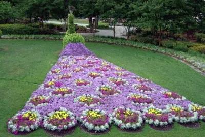 PAVO REAL FLORIDO jigsaw puzzle