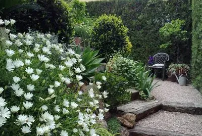 jardÃ­n