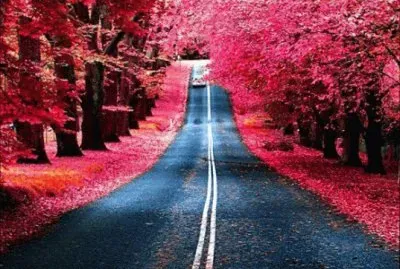 Natureza