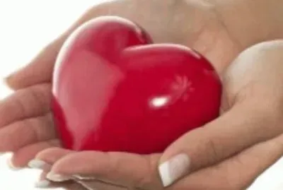 פאזל של ×œ×‘