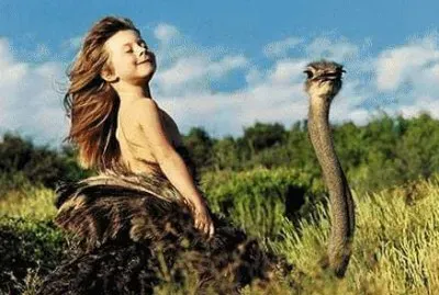 ×‘×ª ×™×¢× ×” jigsaw puzzle