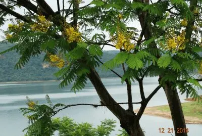 paisagem 8