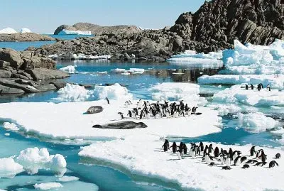 פאזל של En la AntÃ¡rtida Argentina