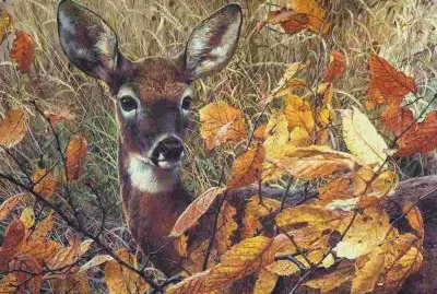 biche en automne