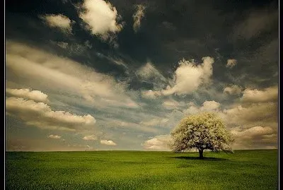 Natureza