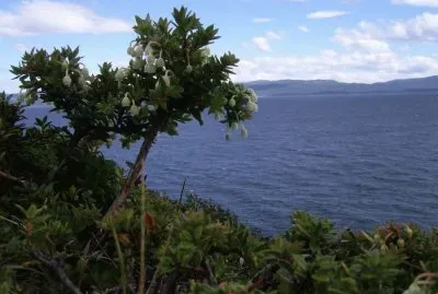 Canal Beagle. Tierra del Fuego. Argentina