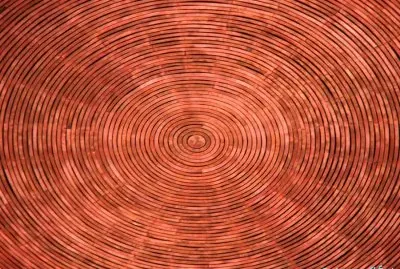 FaraÃ³n jigsaw puzzle