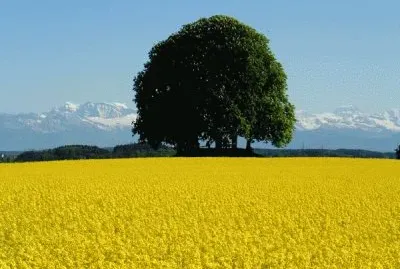 Natureza