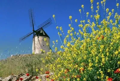Natureza
