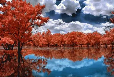Natureza