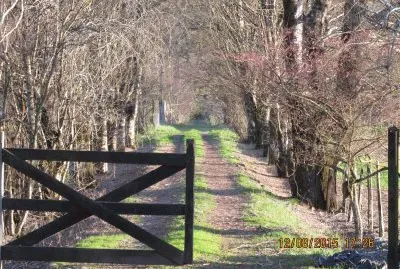 Arboleda de OtoÃ±o