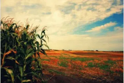 sept14 jigsaw puzzle