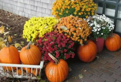 sept15 jigsaw puzzle