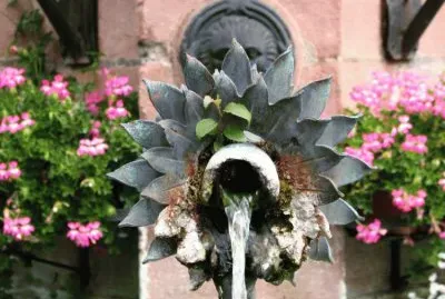 fontaine
