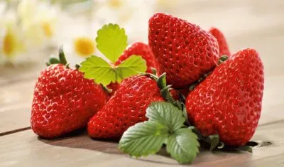 fragola jigsaw puzzle