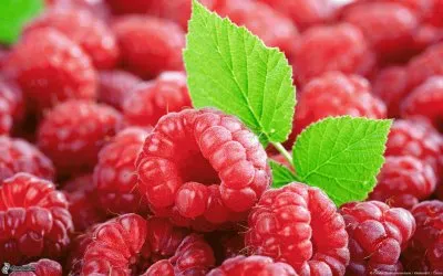 lampone jigsaw puzzle