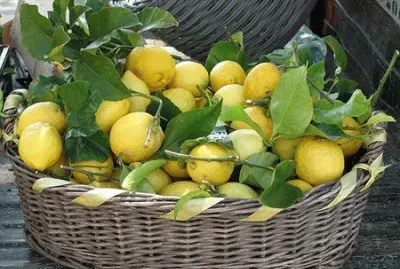 limone jigsaw puzzle