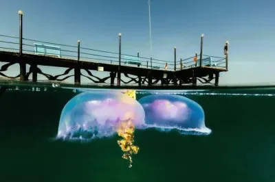 paisajes jigsaw puzzle